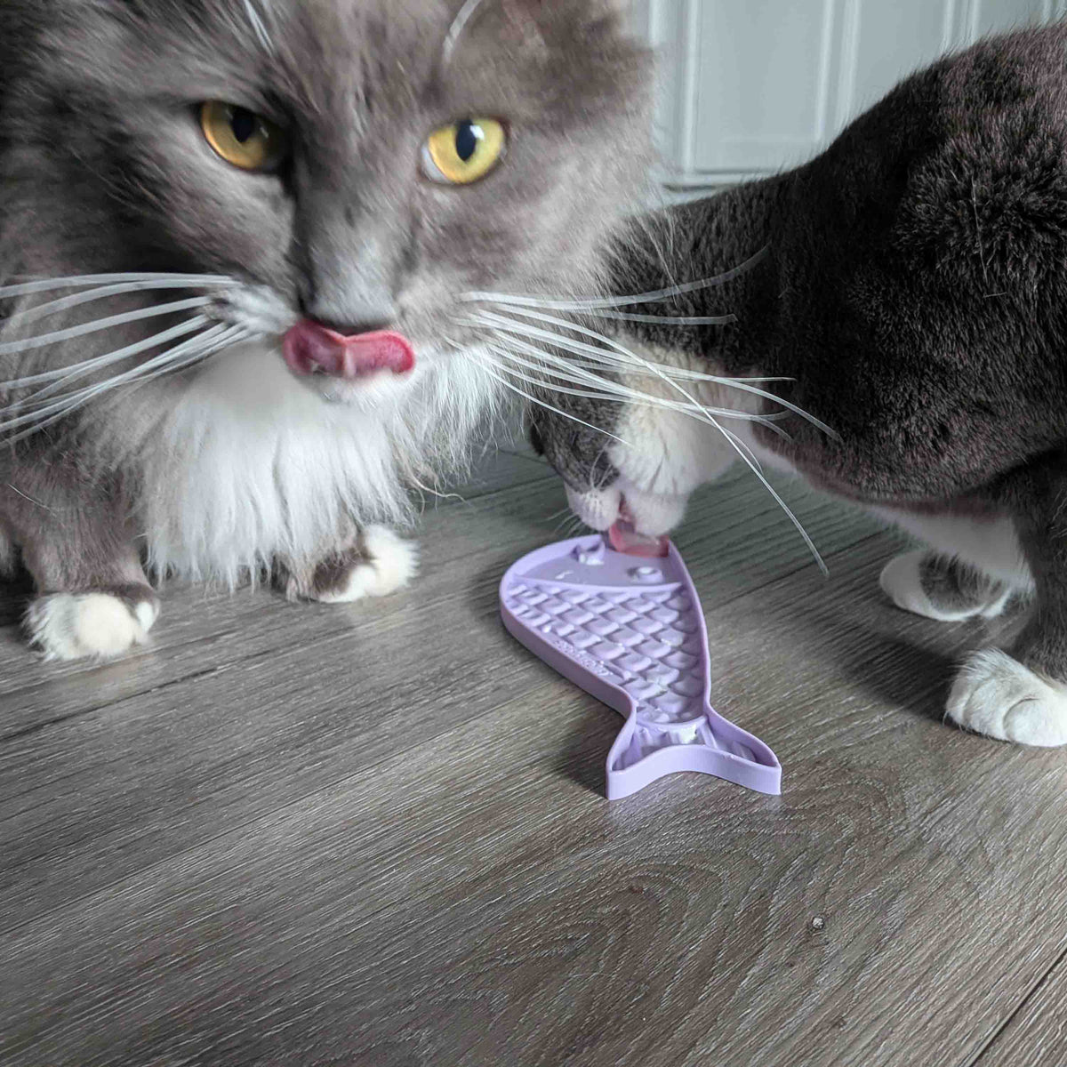 Goldfish eMat - Small Enrichment Lick Mat for Cats | SodaPup – Consulate X, view 7 of 8