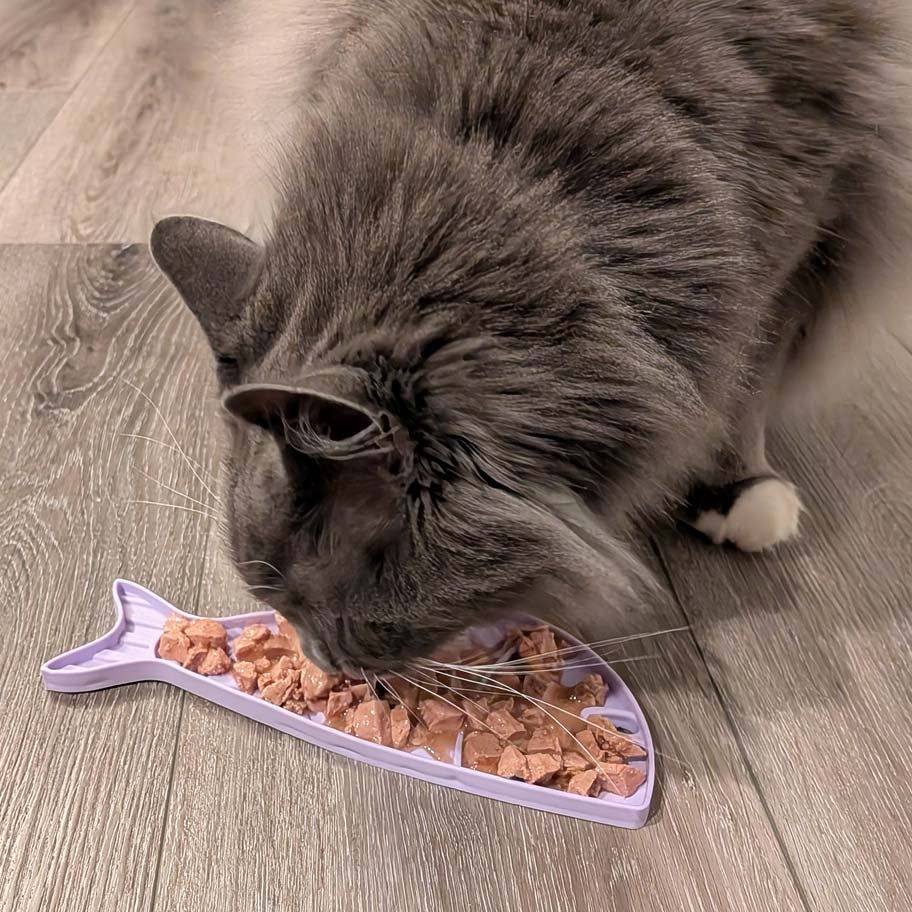 Goldfish eMat - Small Enrichment Lick Mat for Cats | SodaPup – Consulate X, view 5 of 8
