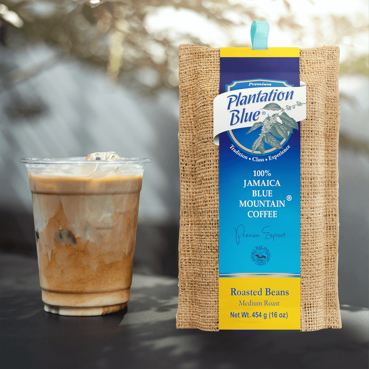 Plantation Blue 100% Jamaica Blue Mountain Premium Coffee (16 oz - medium roasted whole beans) – Consulate X, view 2 of 10