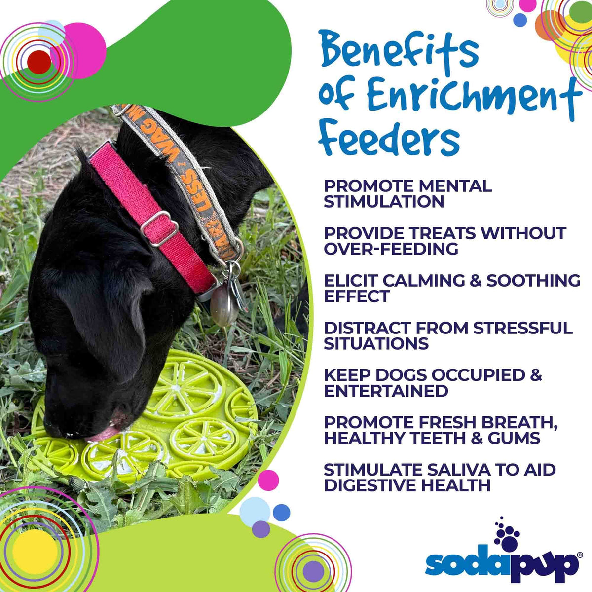 Citrus Design eMat - Enrichment Lick Mat For Dogs and Cats - with Suction Cups | USA Made – Consulate X, view 9 of 12