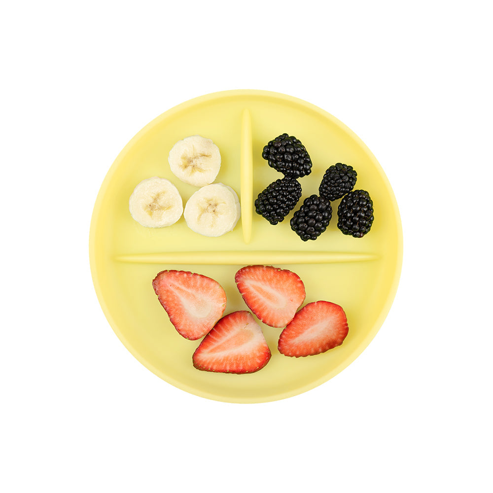 Silicone Suction Plate for Babies, Divided, 6 Months+ – Consulate X, view 8 of 14