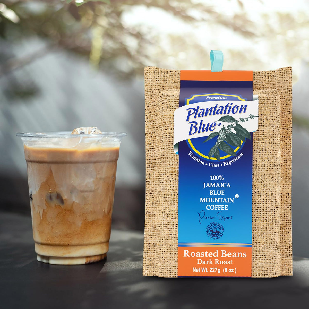 Plantation Blue 100% Jamaica Blue Mountain Coffee — Dark Roast Whole Beans | 8oz | JACRA Certified – Consulate X, view 6 of 9