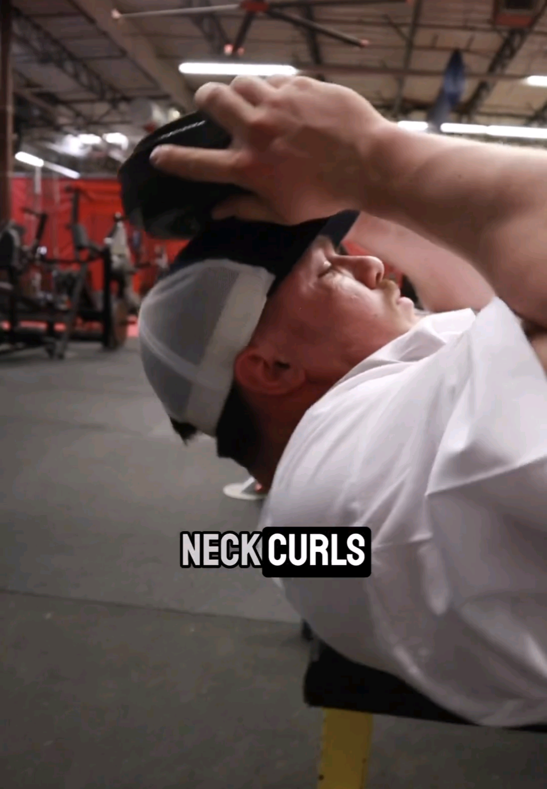 The Strong Neck – Consulate X, view 7 of 8