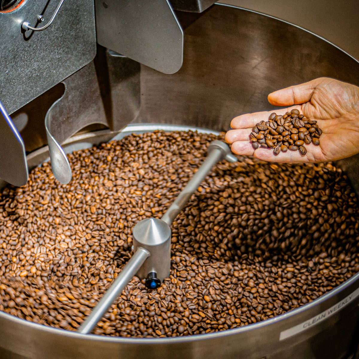 Enzyme Fermented Coffee - Family Size (5lb) – Consulate X, view 4 of 4