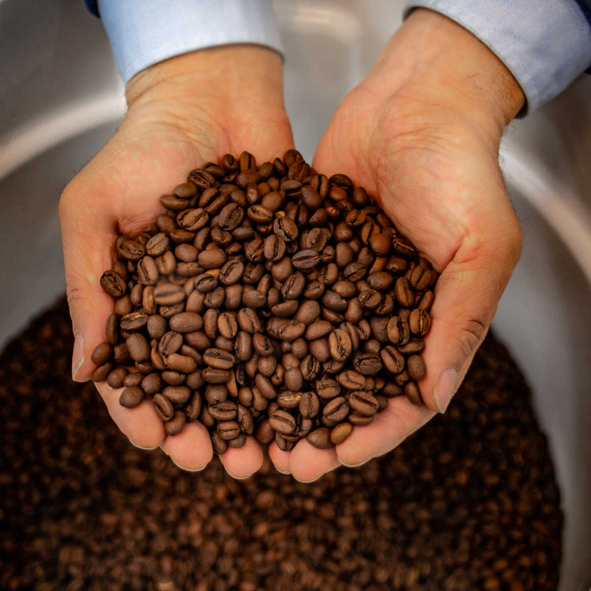 Enzyme Fermented Coffee - Family Size (5lb) – Consulate X, view 2 of 4