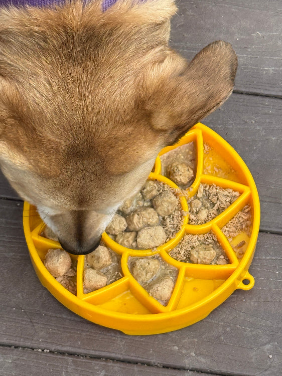 Sunflower eTray Shallow Slow Feeder Dog Bowl for Enrichment | USA Made – Consulate X, view 8 of 11