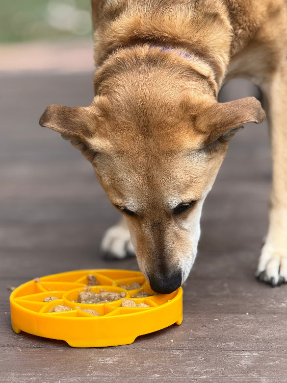 Sunflower eTray Shallow Slow Feeder Dog Bowl for Enrichment | USA Made – Consulate X, view 9 of 11