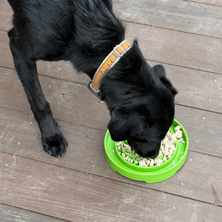 Garden Design eTray - Shallow Slow Feeder Dog Bowl for Enrichment | USA – Consulate X, view 8 of 10