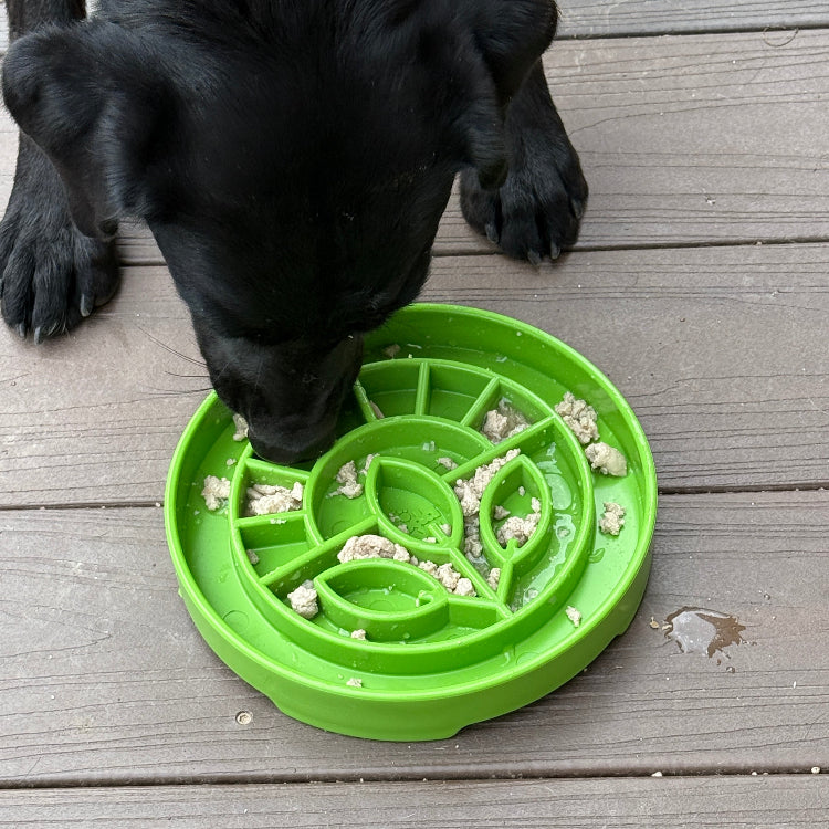 Garden Design eTray - Shallow Slow Feeder Dog Bowl for Enrichment | USA – Consulate X, view 9 of 10