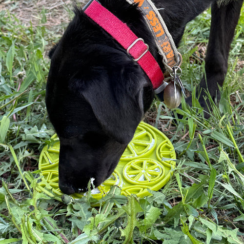 Citrus Design eMat - Enrichment Lick Mat For Dogs and Cats - with Suction Cups | USA Made – Consulate X, view 11 of 12