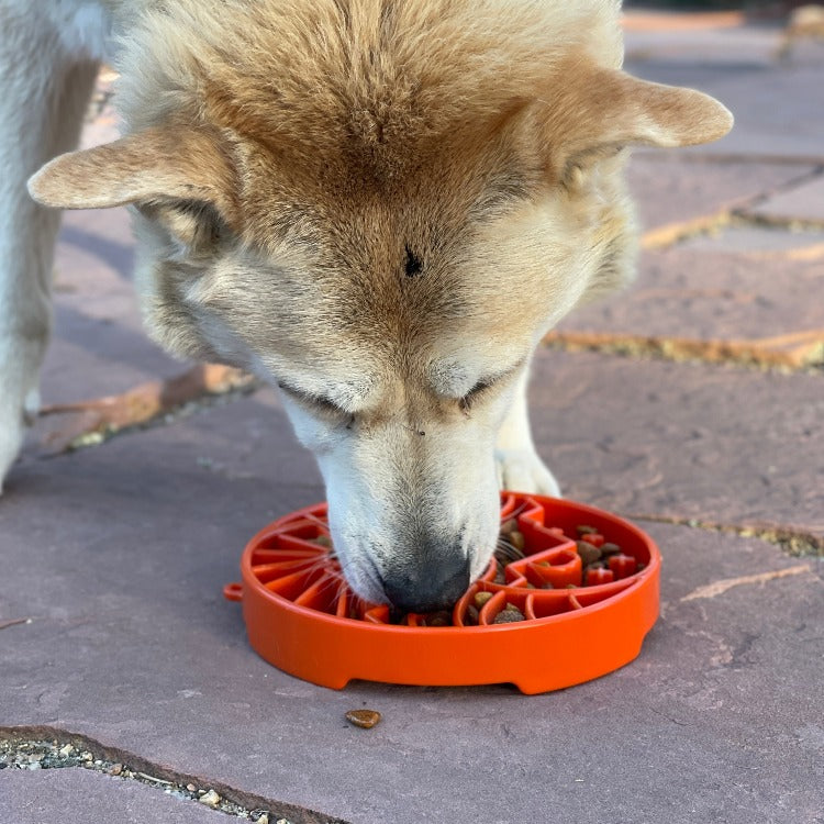 Sun and Moon eTray - Shallow Slow Feeder Dog Bowl for Enrichment | USA Made – Consulate X, view 7 of 12