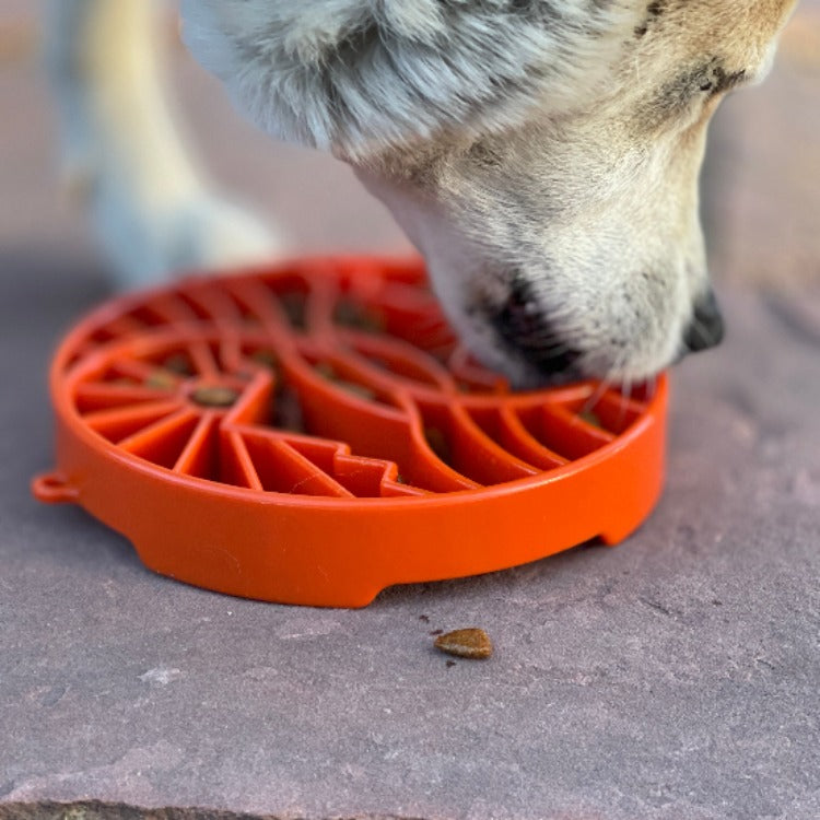 Sun and Moon eTray - Shallow Slow Feeder Dog Bowl for Enrichment | USA Made – Consulate X, view 8 of 12