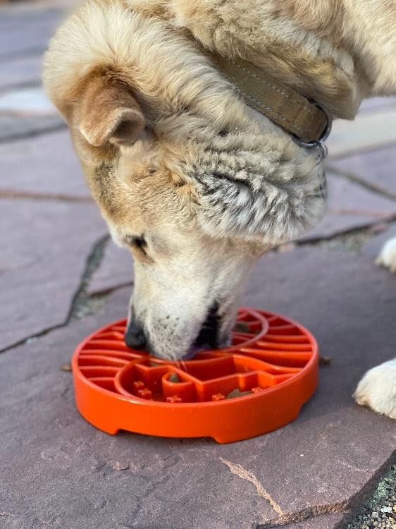 Sun and Moon eTray - Shallow Slow Feeder Dog Bowl for Enrichment | USA Made – Consulate X, view 11 of 12