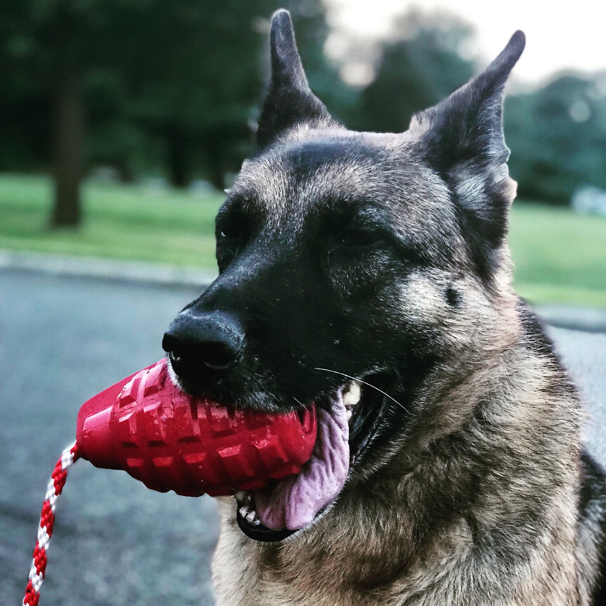 USA-K9 Grenade Shaped Rubber Dog Toy - Chew, Treat Dispenser & Tug Toy | USA - Army Green – Consulate X, view 7 of 7