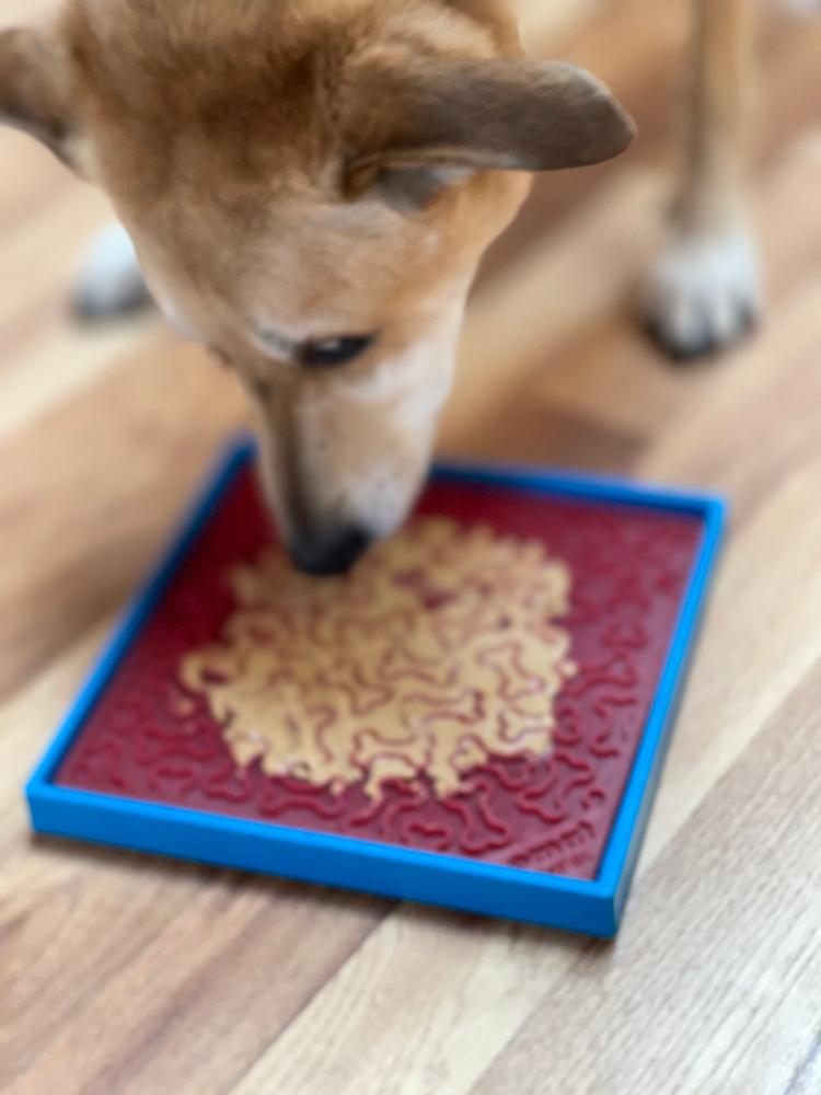 Hold 'em Suction Cup Holder for Dog Bowls & Lick Mats | USA Made – Consulate X, view 8 of 15