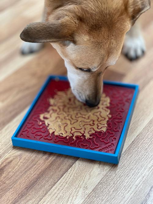 Hold 'em Suction Cup Holder for Dog Bowls & Lick Mats | USA Made – Consulate X, view 12 of 15