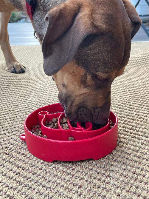 Santa Christmas eBowl Deep Slow Feeder Dog Bowl for Enrichment | USA Made – Consulate X, view 7 of 11
