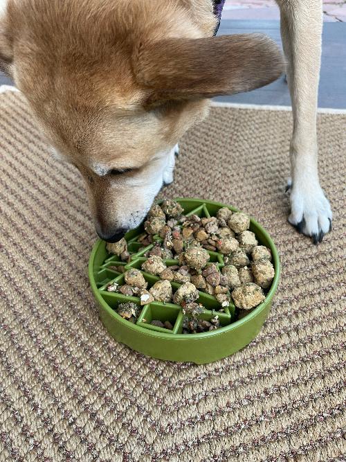Pine Tree Christmas eBowl Deep Slow Feeder Dog Bowl for Enrichment | USA Made – Consulate X, view 10 of 10