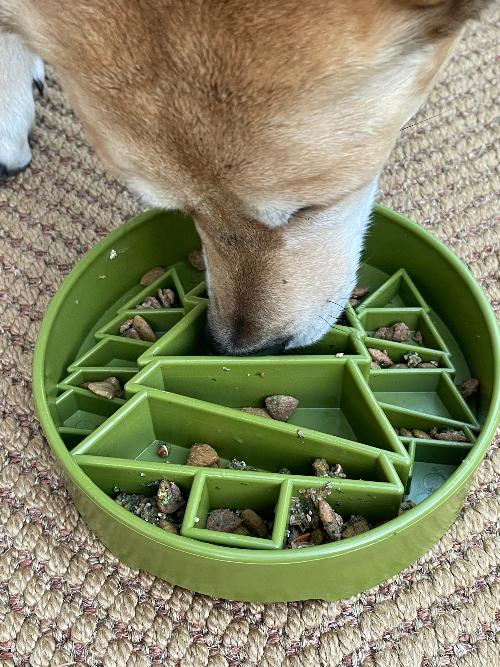Pine Tree Christmas eBowl Deep Slow Feeder Dog Bowl for Enrichment | USA Made – Consulate X, view 9 of 10
