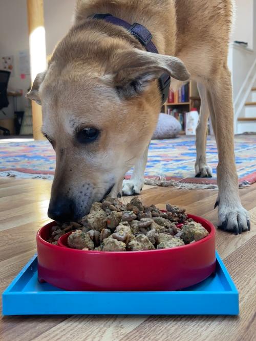 Hold 'em Suction Cup Holder for Dog Bowls & Lick Mats | USA Made – Consulate X, view 10 of 15
