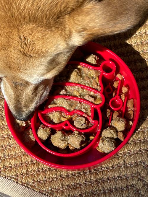 Santa Christmas eBowl Deep Slow Feeder Dog Bowl for Enrichment | USA Made – Consulate X, view 6 of 11