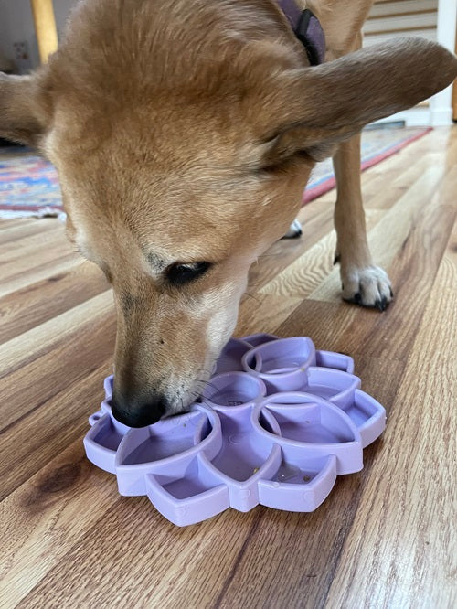 Mandala Softie eTray Shallow Slow Feeder Dog Bowl with Suction Cups |  USA Made – Consulate X, view 9 of 10
