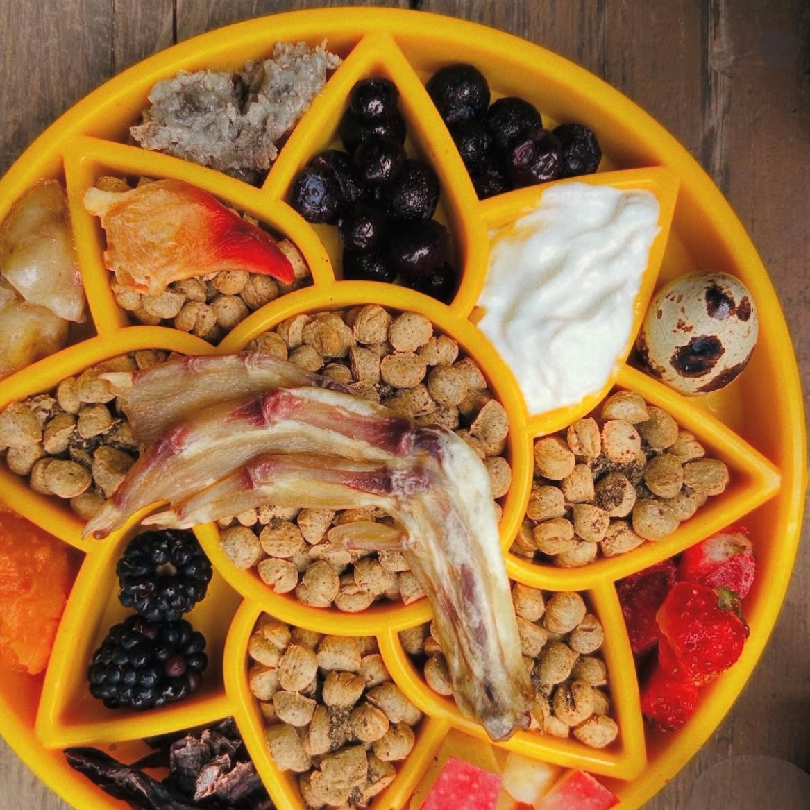 Sunflower eTray Shallow Slow Feeder Dog Bowl for Enrichment | USA Made – Consulate X, view 11 of 11