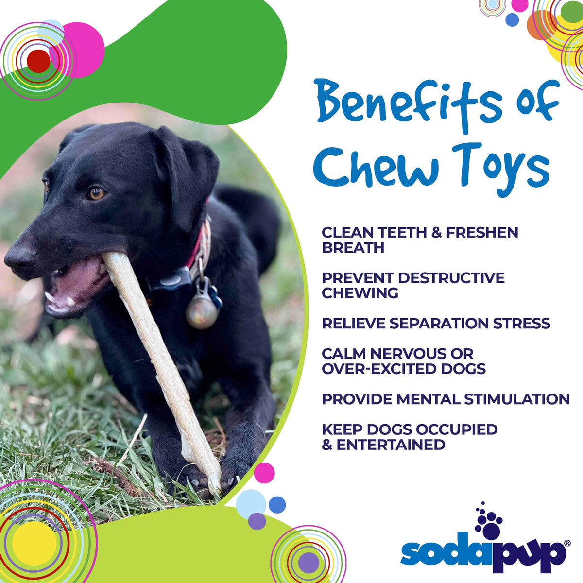 Durable Nylon Glow in the Dark Chew Stick for Power Chewers | USA Made | SodaPup – Consulate X, view 5 of 8