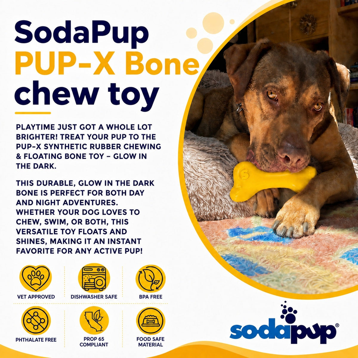 PUP-X Rubber Bone Dog Toy - Durable, Floats, Chew Toy for Large Dogs | USA – Consulate X, view 5 of 11