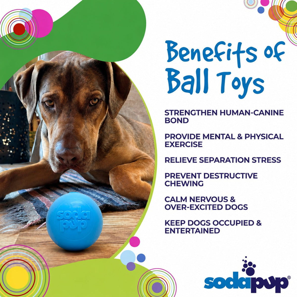 Squeak Ball - Durable Squeaky Dog Toy, Floats, Chew Toy | USA Made – Consulate X, view 6 of 16