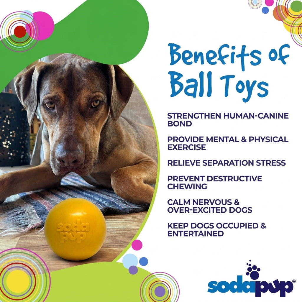 Squeak Ball - Durable Squeaky Dog Toy, Floats, Chew Toy | USA Made – Consulate X, view 7 of 16