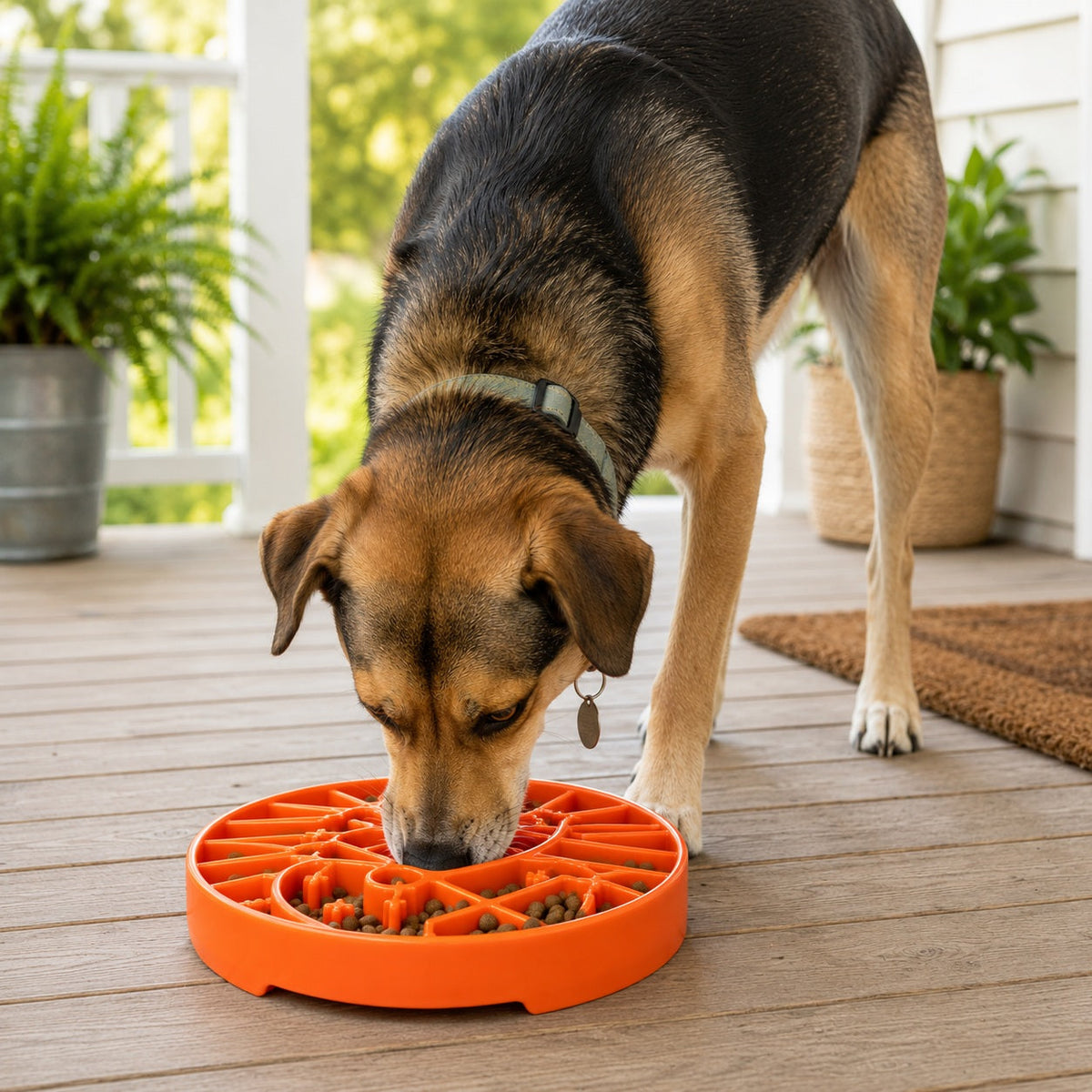 Sun and Moon eTray - Shallow Slow Feeder Dog Bowl for Enrichment | USA Made – Consulate X, view 12 of 12