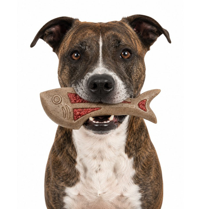 Dog Fish Nylon Dog Chew & Enrichment Toy | Ultra-Durable for Aggressive Chewers | SodaPup – Consulate X, view 2 of 8