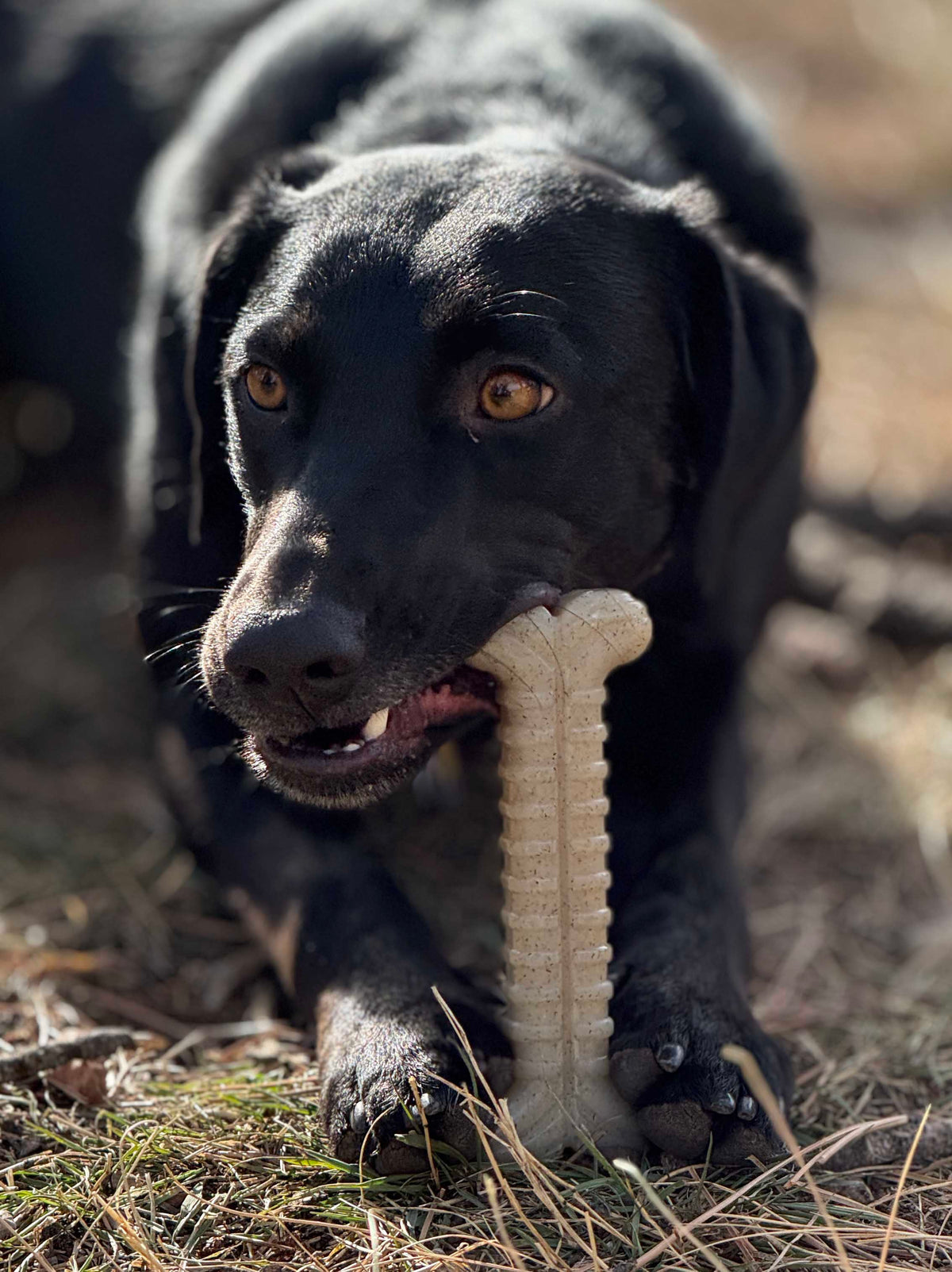 Tough Bone Nylon Chew Bone | Ultra-Durable Dog Toy for Aggressive Chewers | SodaPup – Consulate X, view 6 of 7