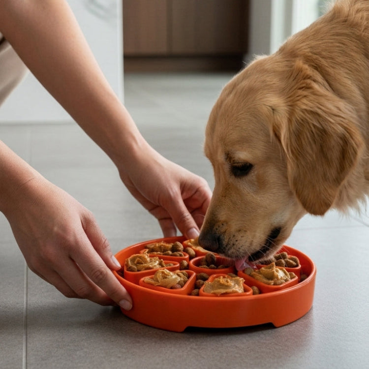 Citrus Softie eTray Shallow Slow Feeder Dog Bowl |  USA Made – Consulate X, view 3 of 5