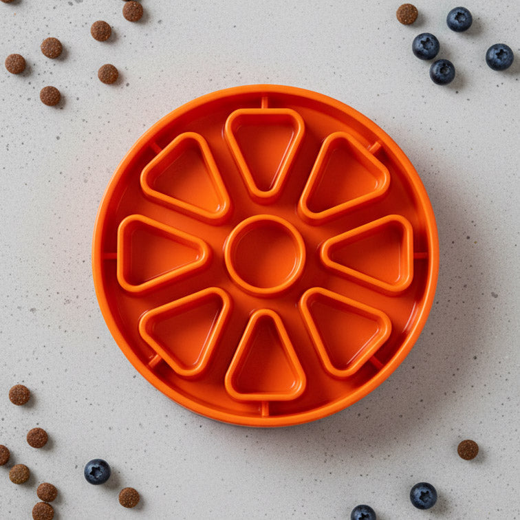Citrus Softie eTray Shallow Slow Feeder Dog Bowl |  USA Made – Consulate X, view 5 of 5
