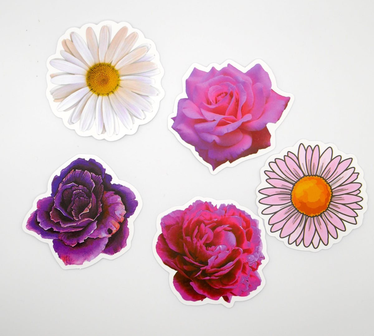 Floral, Cactus, Plant, & Mushroom Sticker Packs (Set of 10) – Consulate X, view 3 of 5