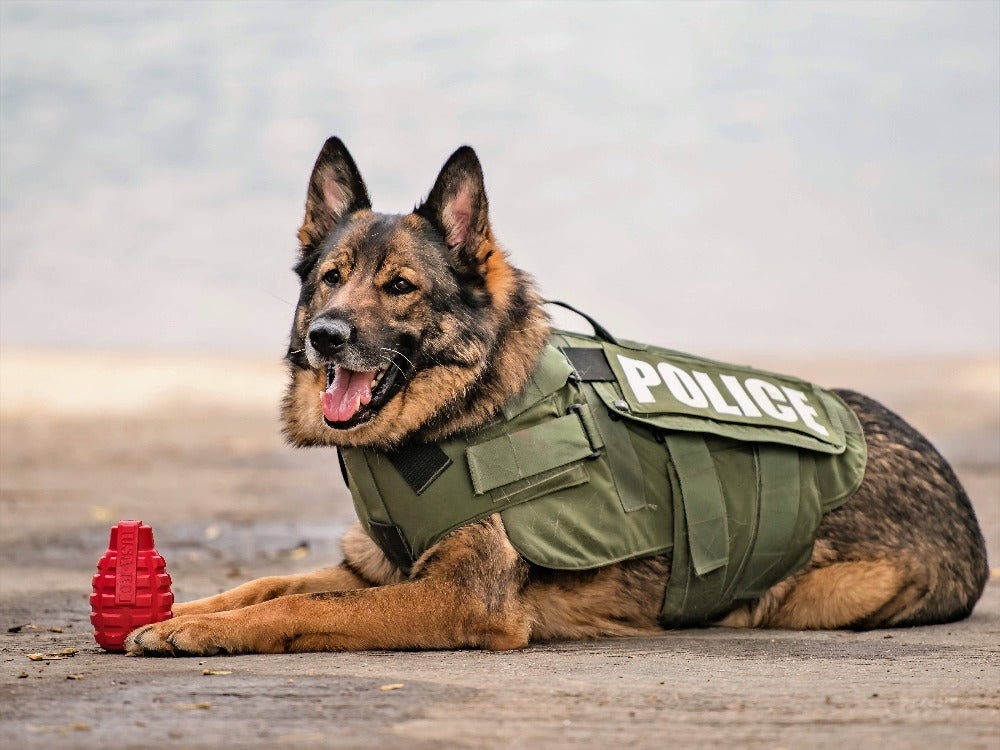 USA-K9 Grenade Shaped eDispenser Durable Dog Chew Toy & Treat Dispenser - Magnum Black – Consulate X, view 8 of 8