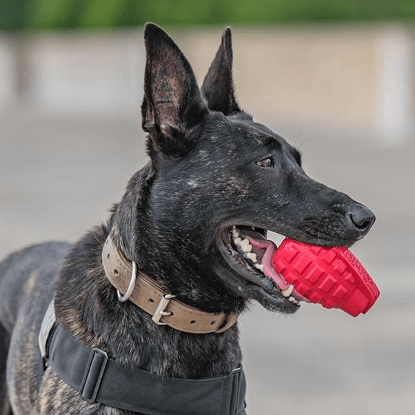 USA-K9 Grenade Shaped eDispenser Durable Dog Chew Toy & Treat Dispenser - Army Green – Consulate X, view 5 of 10