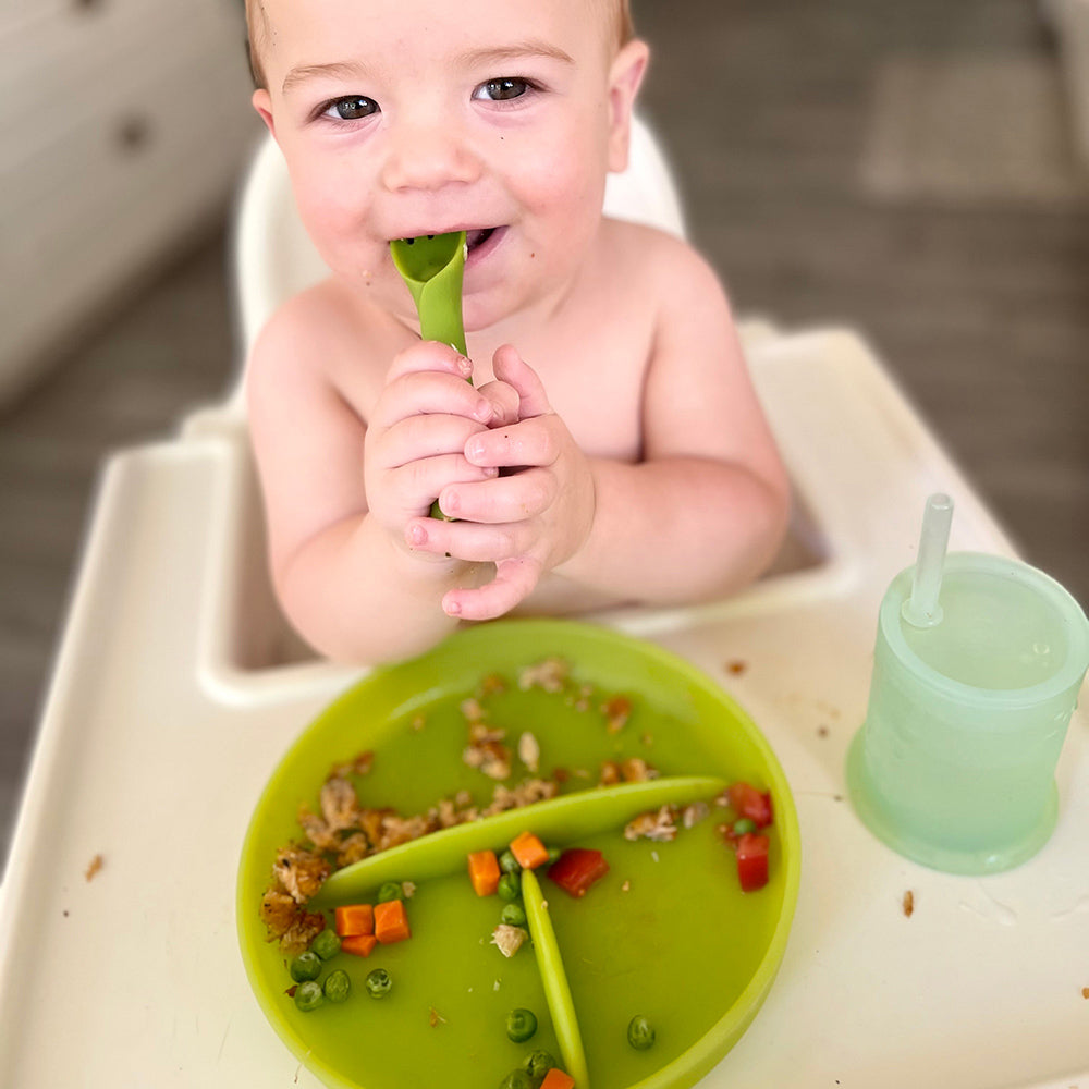 Silicone Suction Plate for Babies, Divided, 6 Months+ – Consulate X, view 12 of 14